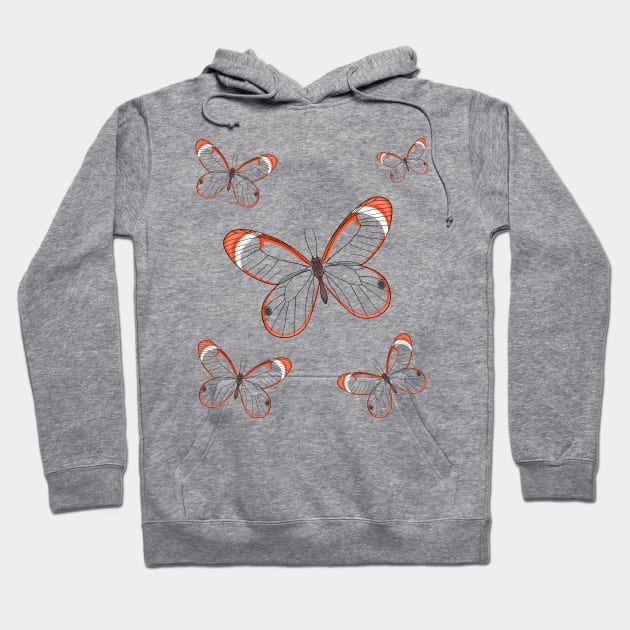 Glasswing butterfly cartoon illustration Hoodie by Cartoons of fun